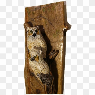 Great Horned Owl Juvenile - Great Horned Owl Clipart