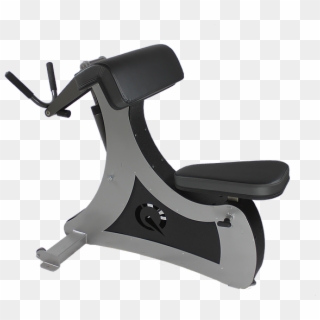 Biceps Curl / Triceps Press - Chair Clipart