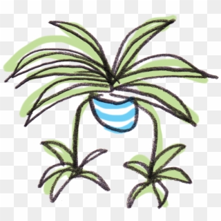 House Plant Png - Spider Plant Cartoon Clipart