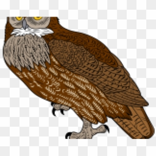 Great Horned Owl Clipart Front - Screech Owl - Png Download