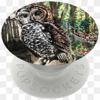 Save The Endangered Owls, - Screech Owl Clipart