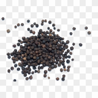 Black Pepper Transparent Image - Black Pepper White Background Clipart