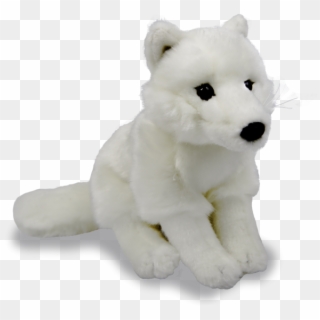 Artic Fox Animal Transparent Png Images Free Download - Teddy Bear Clipart