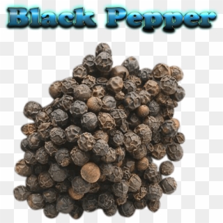 Black Pepper Free Download Png - Cubeb Clipart