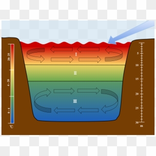Thermocline - Lake Stratification Clipart
