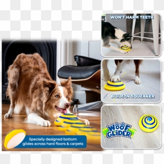 Dog Catches Something , Png Download - Dog Catches Something Clipart