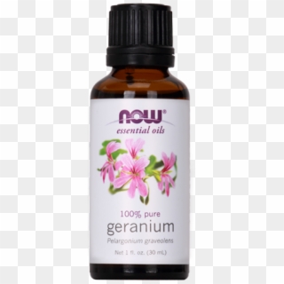 Geranium Aromatherapy - Jasmine Now Essential Oil Clipart