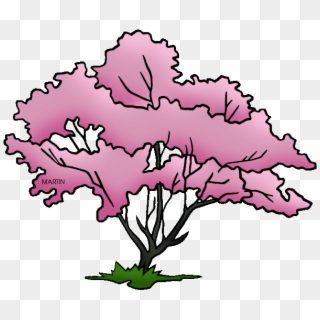 Transparent Tree Dogwood - Flowering Dogwood Tree Clipart - Png Download