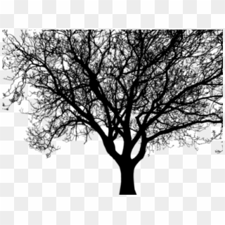Drawn Branch Dogwood Tree - Tree Silhouette Clipart