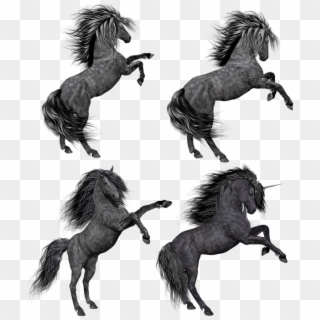Pony, Horse, Unicorn, Mare, Stallion, Rear, Rearing - Horse Clipart