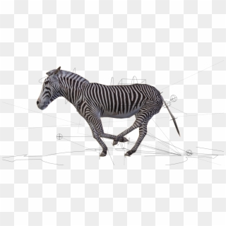 Previous - Next - Quagga Clipart