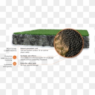The Airfibr Technology - Natural Grass Airfibr Clipart