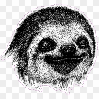 Smiling Engraved Sloth Face Sticker - Sloth Face Drawing Clipart