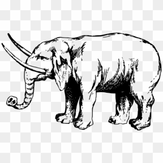 Ancient Elephant Drawing Clipart
