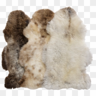 Big Dutch Silky Sheepskin - Fur Clothing Clipart