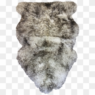 White With Black Tips Washable Sheepskin For Sale Alpaca - Fur Clothing Clipart