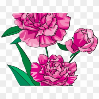 Peony Clipart Mason Jar Flower - Png Download