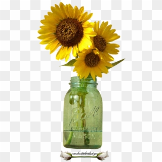 Bloemen Rooskestubedesign Bloem - Sunflower In Mason Jar Clipart - Png Download