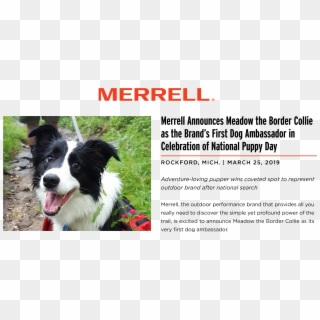 Merrell Clipart