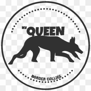 My Queen Border Collies - Coyote Clipart
