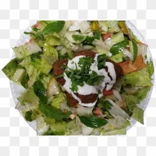 Falafel Salad - Garden Salad Clipart
