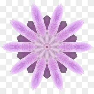 This Free Icons Png Design Of Orchid Kaleidoscope 10 - Water Lily Clipart