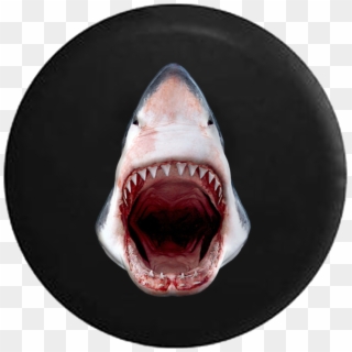 Great White Shark Jaws Open Razor Sharp Teeth Jeep - Open Mouth Great White Shark Clipart
