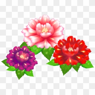 Download Exotic Flowers Png Images Background - Exotic Flower Clipar Transparent Png