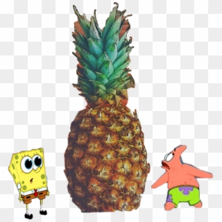 #freetoedit #pineapple #spongebob #patrick - Pineapple Clipart
