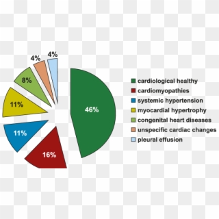 Division Of Cats According To Cardiac Changes - Clip Art Cartoon - Png Download