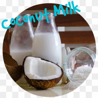Coconut Clipart