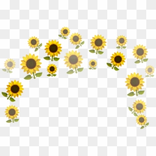 Sunflower 🌻🌻🌻 - Sunflower Clipart