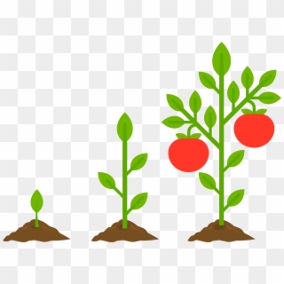 Use These To Grow A Garden To Feed Your Entire Family - Vegetable Garden Cartoon Clipart