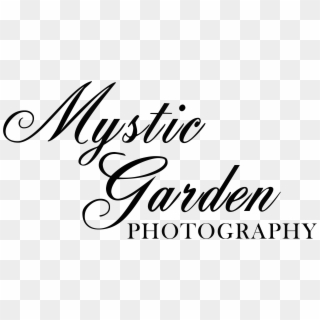 Mystic Garden Photography - Calligraphy Clipart