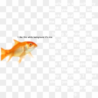 “i Am A Fish - Go Away Transparent Background Clipart