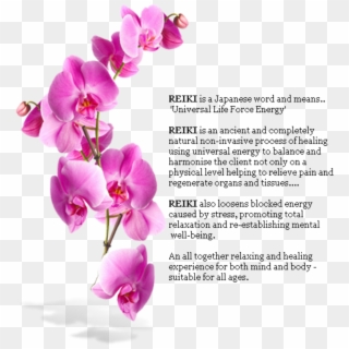 Def - Orchids Mural Clipart