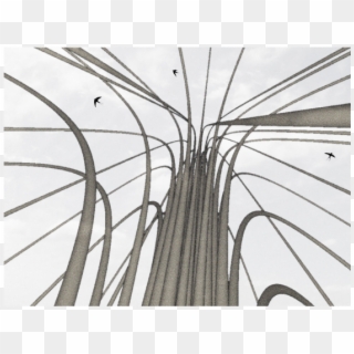 Willow Tree - Architecture Clipart