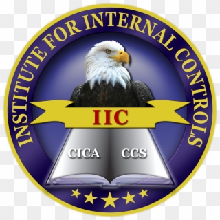 Certified Internal Controls Auditor Clipart