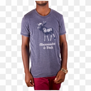 A&f Burnout Logo Graphic Tee - Goat Clipart