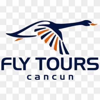 Cancun Airplane Tours - Cjo All Fleet Cars Ltd Clipart