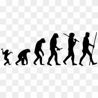 Human Png - Human Evolution Png Clipart