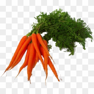 Carrot Png Clipart - Transparent Vegetable Png