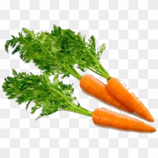 Carrot With No Background Clipart