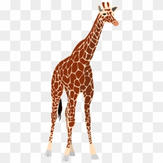 Free Png Download Giraffe Png Images Background Png - Giraffe Free Clipart
