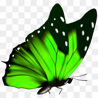 Green Butterfly Png Clipart Image - Green Butterfly Clipart Png Transparent Png