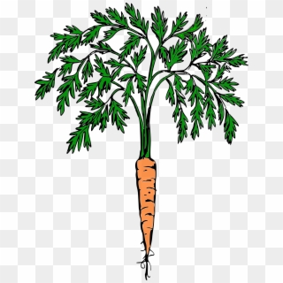 This Free Icons Png Design Of Orange Carrot Clipart