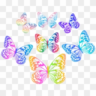 Free Png Download Decorative Multlored Butterflies - Multi Color Butterfly Png Clipart