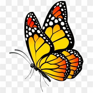 Clipart Butterfly Yellow - Png Download