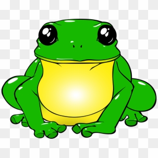 Frog, Toad, Green, Drawing, Png, Animals, Nature, Water - Sapo Unicornio Clipart