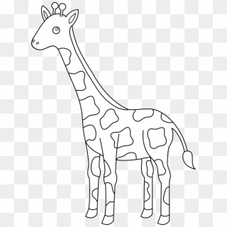 5774 X 7792 4 - Giraffe Black And White Clipart Png Transparent Png